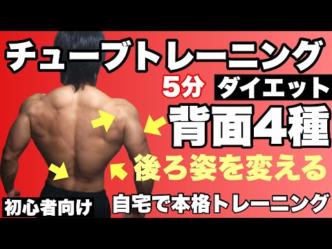 チューブトレーニング初心者向け！後ろ姿を変える背面4種目5分