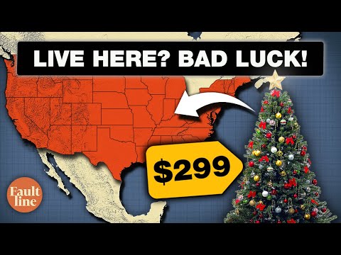 Why US Christmas Trees Are Insanely Overpriced?!