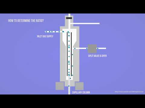 GC - Gas Chromatography - Split & splitless injection Animation HD