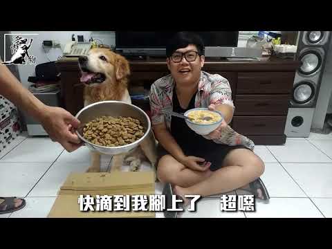 Do Those實驗室｜究竟人類與狗誰吃飯比較快咧｜世紀大對決