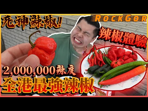 【極限測試】生吃整顆死神辣椒🌶️💀｜尋找全港最強辣椒🔥｜吃了十幾條辣椒的反應是…?!