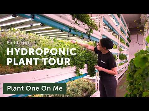 HYDROPONIC FARM Tour with Farm.One — Ep. 393