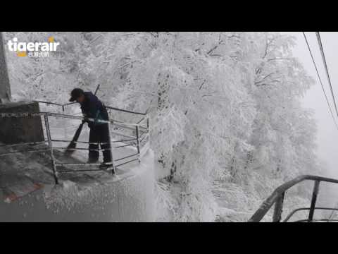 台灣虎航 | 解秘東北仙台 十秒看藏王樹冰