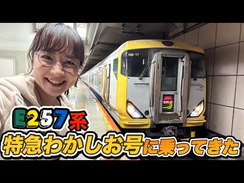 E257系特急わかしお号に乗ってきた！ダイヤ改正前の貴重な姿も！#jr東日本 #鉄道 #train