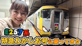 E257系特急わかしお号に乗ってきた！ダイヤ改正前の貴重な姿も！#jr東日本 #鉄道 #train