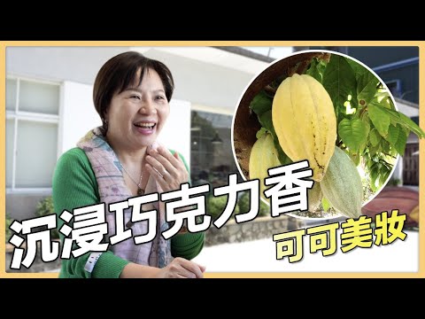 【屏東潮州】打造可可人文藝術村｜用心的產業｜417｜＃美麗心台灣