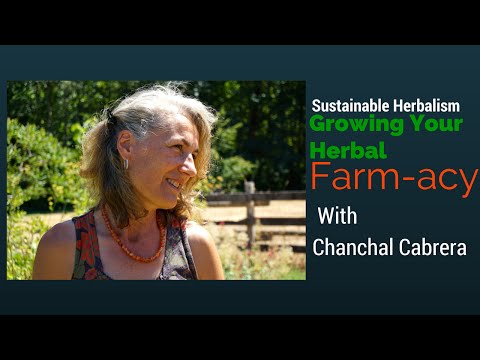 Growing your Herbal Farm-acy | with Chanchal Cabrera | Harmonic Arts