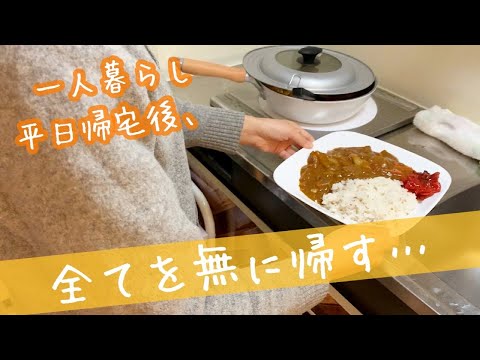 【一人暮らしの日常vlog】平日夜ごはん、カレーと共闘