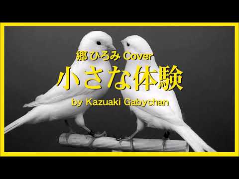 1972 小さな体験 by 郷ひろみ “Little Exerience” Hiromi Go, Covered by Kazuaki Gabychan