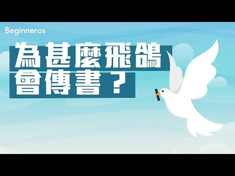 【冷知識】為甚麼飛鴿會傳書？不會迷路嗎？｜Beginneros