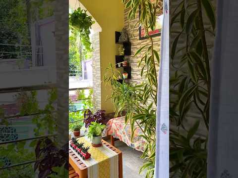 My Balcony Garden in Monsoon #balconygarden #balconydecoration #shortsvideo