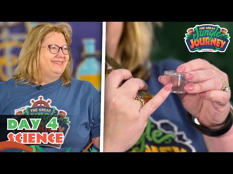 This Experiment Will Fool Your Kids! | The Great Jungle Journey VBS: Day 4 Science