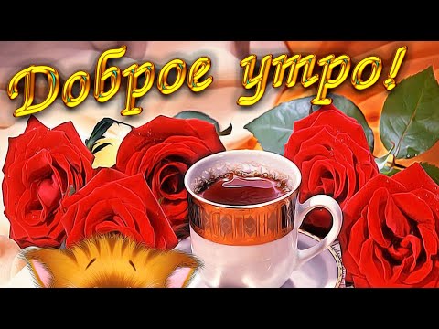 С Добрым Утром! Нежного Пробуждения и Отличного Настроения! Красивая Музыкальная Видео Открытка Тебе