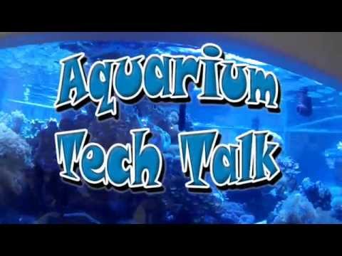 Polish Scratches Out of Acrylic Aquarium, LA Fishguys Tech Talk Episode 149, part 2