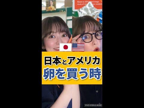 【日本とアメリカ】卵を買う時が違いすぎる!? #shorts