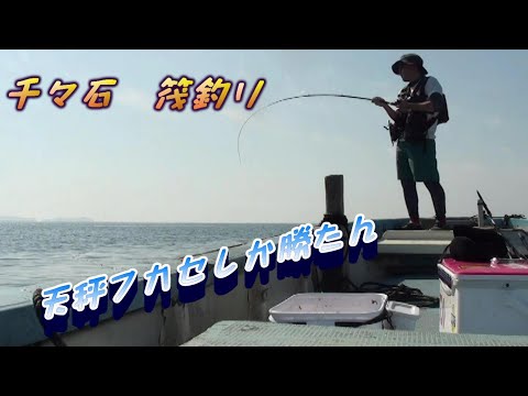 千々石　筏釣り　天秤フカセで大物きた！