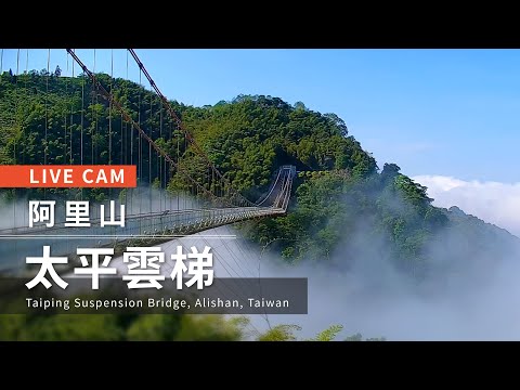 Live cam-Alishan【阿里山美景直播】-太平雲梯 Taiping Suspension Bridge