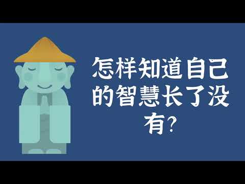 怎样知道自己的智慧长了没有？——佛法常识