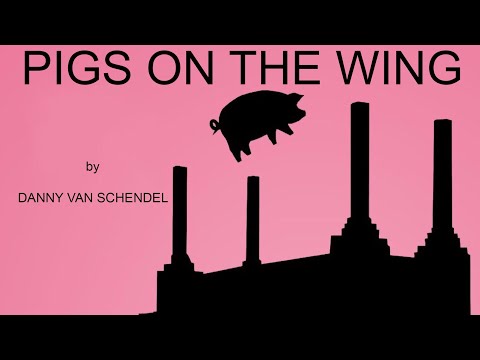 Pigs on the wing Part 1 & 2 (Pink Floyd cover)