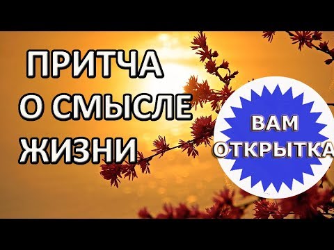 Мудрая притча "Сосуд жизни". О том что важно в жизни, а что мелкая суета.