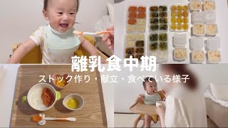 【離乳食中期】モグモグ期1週間分ストック作り🥣3日間の献立👶🏻｜完ミ育児,離乳食中期,主婦vlog