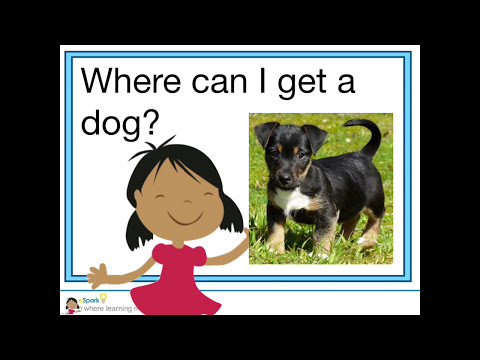 Asking and Answering Questions | Kindergarten Reading | eSpark Instructional Video