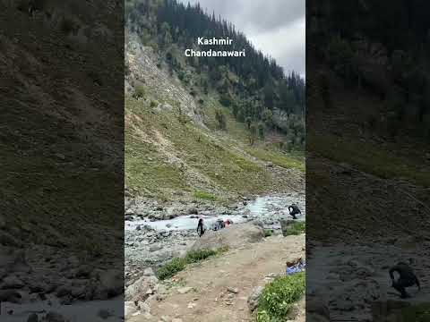 #kashmir #chandanwari #mountains 🏔️ #amarnathyatra #nature #travel #beautiful