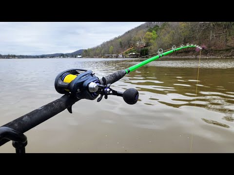 This NEW TACTIC Could TAKE OVER Catfishing!! (Tournament Prefishing)