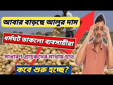 আবারো বাড়ছে আলুর দাম, তাই ব্যবসায়ীরা করল ধর্মঘট l india potato news West bangal