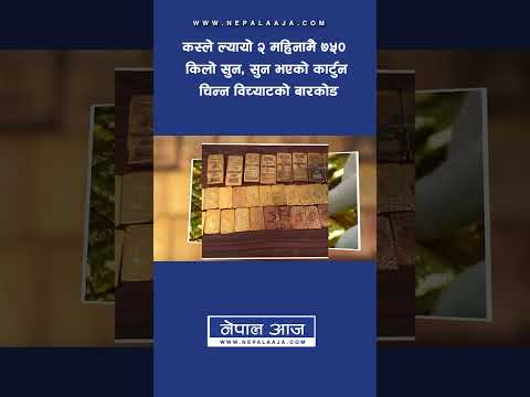 कस्ले ल्यायो २ महिनामै ७५० किलो सुन, सुन भएको कार्टुन चिन्न ‘विच्याटको बारकोड’| Nepal Aaja