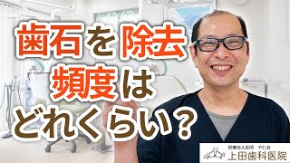 歯石を除去する頻度はどれくらいが良いか？【千葉県市川市下総中山の歯医者】