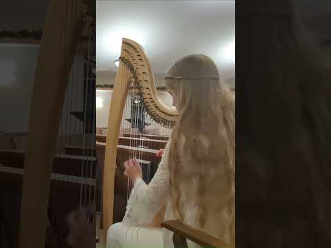 Silent Night: Harp & Piano #shorts #harp #christmas #piano #hymns #cover #silentnight