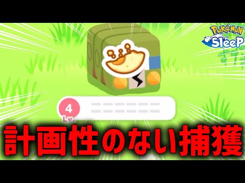 デンジムシが欲しすぎる男のサブレ事情が切ない【ポケモンスリープ】