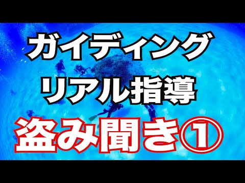 【リアルガイディング指導盗み聞き①】熱烈先生のダイビング講座