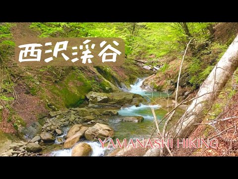 【しくじりvlog】滑落寸前？スリル満点！秘境の地・西沢渓谷 / ハイキング