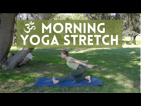 20 Minute Stretch & Strengthen | Morning Yoga for Everyone