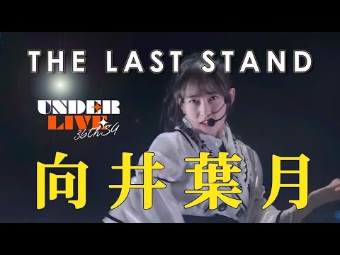 【乃木坂の塊】向井葉月 THE LAST STAND