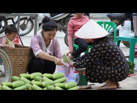 Daily life of a 17-year-old single mother : 100 days of care - Harvesting Luffa || Ly Tieu Nu