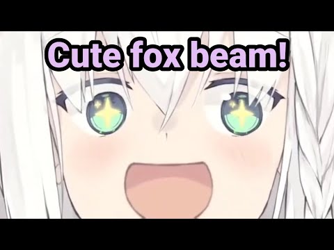 Cute Fox Beammmmm