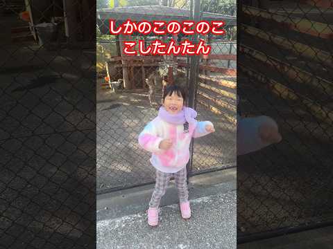 しかのこのこのここしたんたん　#しかのこのこのここしたんたん  #踊ってみた　#ダンス　#動物園