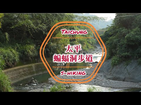 微解封-S步道｜台中｜蝙蝠洞步道｜原始風貌引水渠道｜太平區