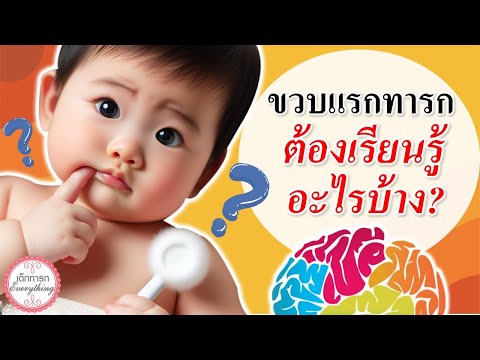 พัฒนาการทารก : ขวบแรก ทารกต้องเรียนรู้อะไรบ้าง ?| พัฒนาทารก | เด็กทารก Everything