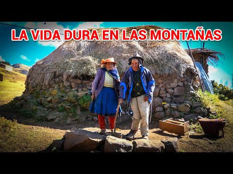 Así es la VIDA de una PAREJA DE ANCIANOS en los Andes Peruanos | DOCUMENTAL