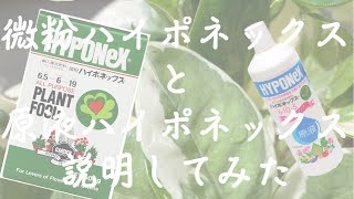 【肥料】微粉ハイポネックスの正しい使い方ハイポネックス肥料の使い分け！