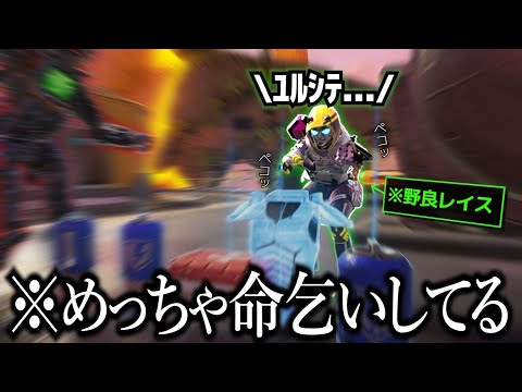 全力で命乞いする可愛い野良レイス【APEX】