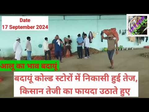 आलू का भाव बदायूं,BADAUN,17 SEPTEMBER 2024