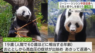 上野動物園のパンダ「リーリー」と「シンシン」お別れで大行列　29日に中国へ返還へ