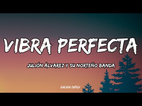 Julión Álvarez Y Su Norteño Banda - Vibra Perfecta (LETRA)🎵