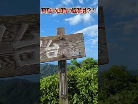 真夏の低山の山頂の気温はまさかの〇〇℃？！