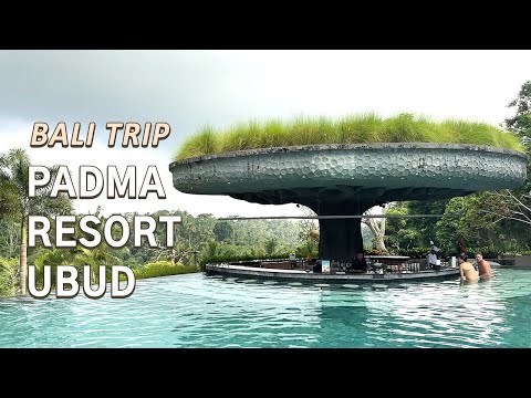 Review of Padma Resort Ubud in Bali! Two thumbs up!! 👍 | Bali Travel Vlog